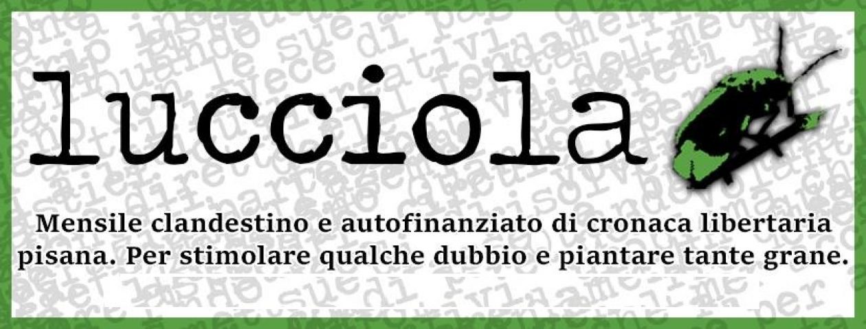 Lucciola